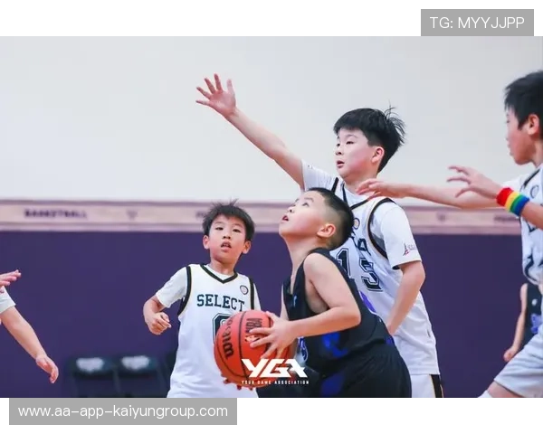 职业篮球运动员在长距离移动中的投篮平衡控制技术（310 ）